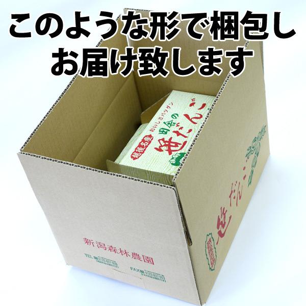 ★こだわりのちまき（きな粉付）お土産用箱入10個入★ ★自家栽培最高級こがねもち100％使用★