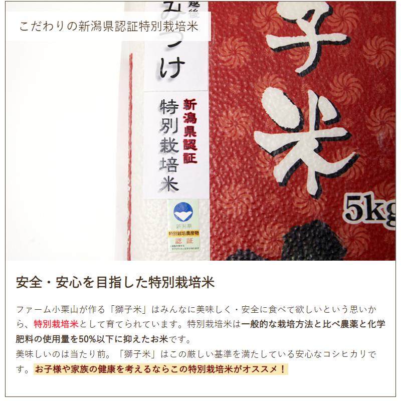 特別栽培米（減農薬・減化学肥料）新潟産コシヒカリ（従来品種）精米2kg ファーム小栗山 送料無料