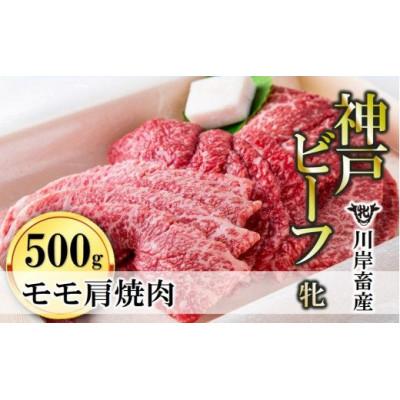 ふるさと納税 西脇市 モモ肩焼肉用:500g