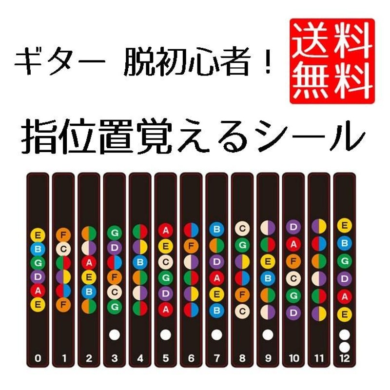 ギターフレット ギター 初心者 練習 用 指位置 音名 配置 指板 シール | LINEブランドカタログ