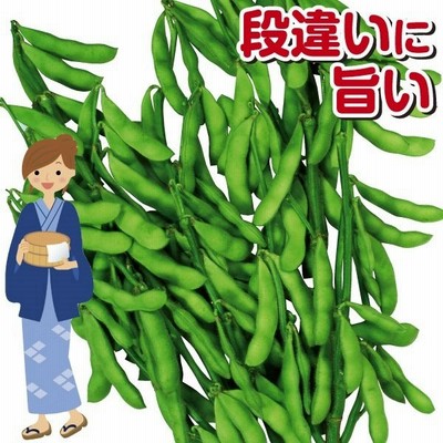 花 ガーデン Diy 野菜の種子 通販 Lineショッピング