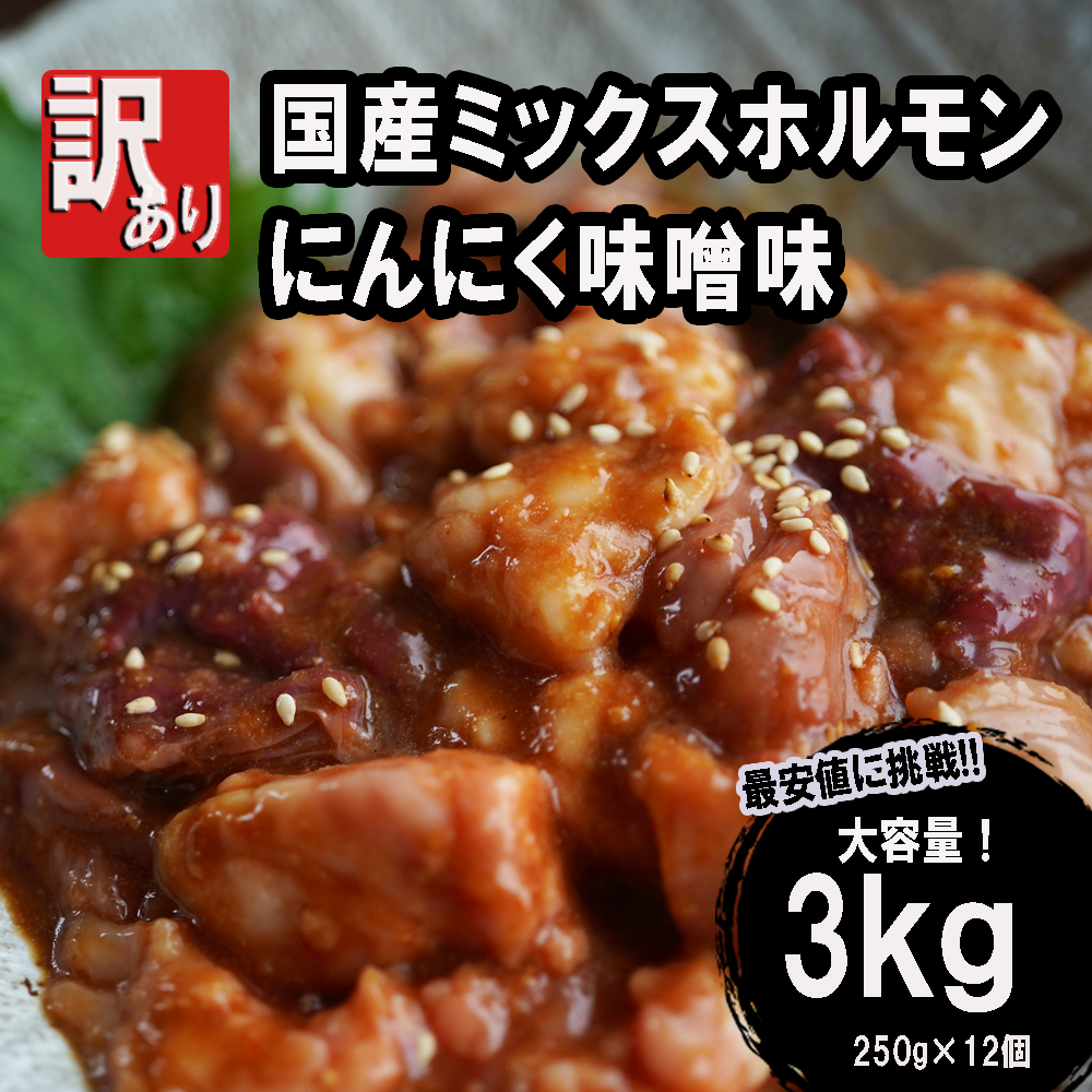 ホルモン焼き 国産牛 ミックスホルモン 3kg (250g×12)  ホルモン 焼肉 にんにく味噌味 大人数用 大容量