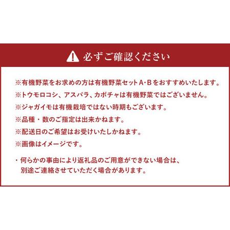 ふるさと納税 おまかせ旬野菜セット 旬 野菜 セット 北海道 北広島市 北海道北広島市