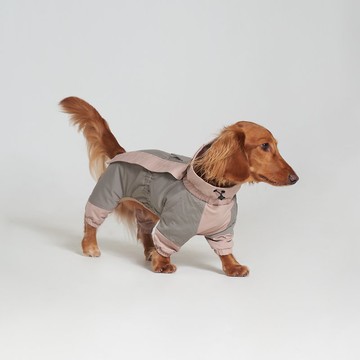 【 VERVVE 】A-Sym | 寵物服飾 | 寵物拼接拉鍊全身外套