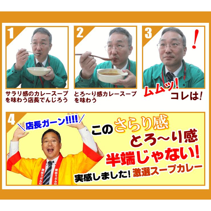 送料無料 うどん 激選スープカレー 讃岐うどん 4人前セット ネコポス お試し 讃岐 送料無 食品 激安