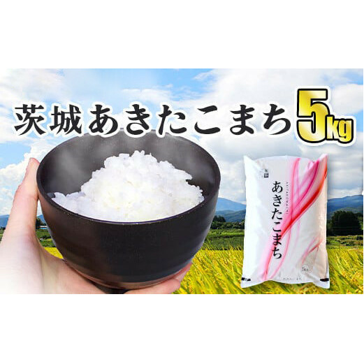 令和5年産 茨城あきたこまち 5kg 1袋 あきたこまち 白米 精米 ごはん お米 国産 茨城県産 守谷市 送料無料