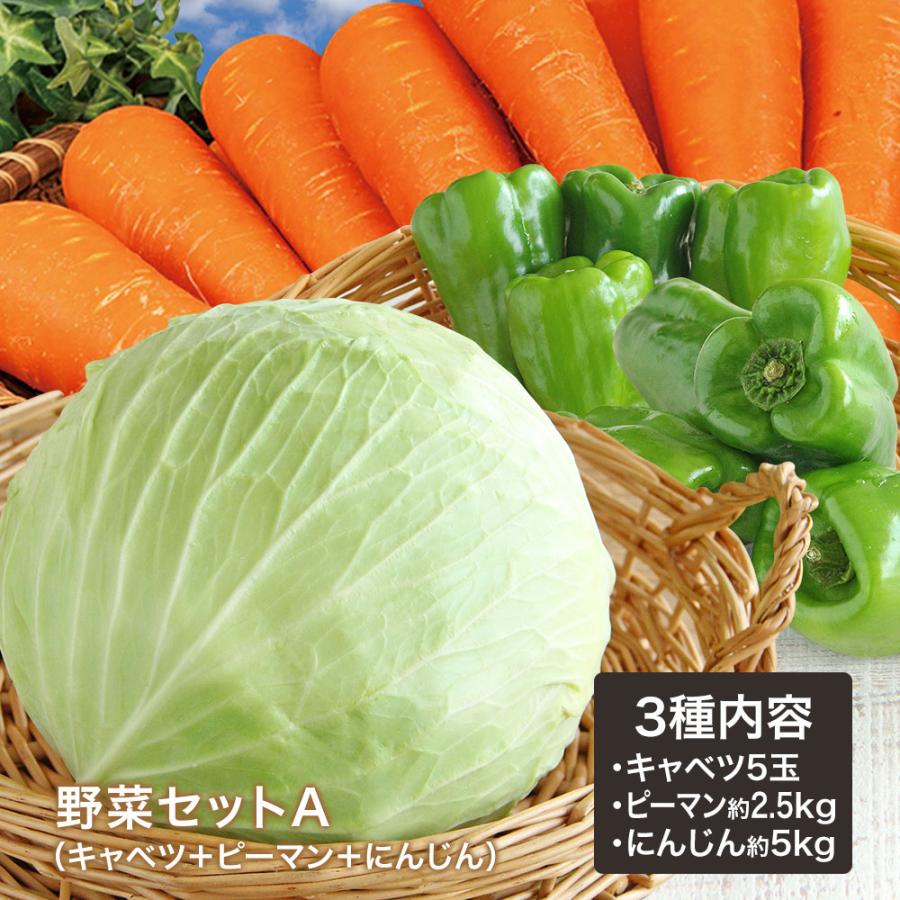 野菜セットA（キャベツ5玉・ピーマン約2.5kg・にんじん約5kg）3種セット きゃべつ ぴーまん 人参 定番 万能 おうちごはん おうち時間 ご家庭用 大量