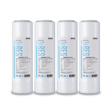 EVERPURE 公規10英吋樹脂濾芯4支 RES-800(DIY更換)