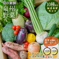 季節の泉州野菜 10種 おまかせセット ピクルスの素 2袋付き