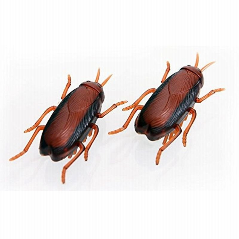 ジョークグッズ 動くゴキブリ 猫 犬 ペット用品 おもちゃ 玩具 遊具 モーター パーティー いたずら 通販 Lineポイント最大0 5 Get Lineショッピング