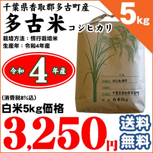 千葉県香取郡多古町産 多古米コシヒカリ 白米5kg 令和5年産