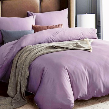 Prawear 巴麗維亞 50%天絲素色雙人兩用被床包組-薇紫 柔軟親膚四季通用  1入