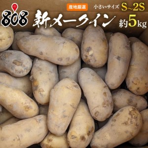 新メークイン　S～2Sサイズ　約5kg(北海道沖縄別途送料加算)メイクイーン じゃがいも ジャガイモ じゃが芋 ジャ