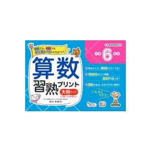 教科書レベルの力がつく！  算数習熟プリント小学６年生大判サイズ