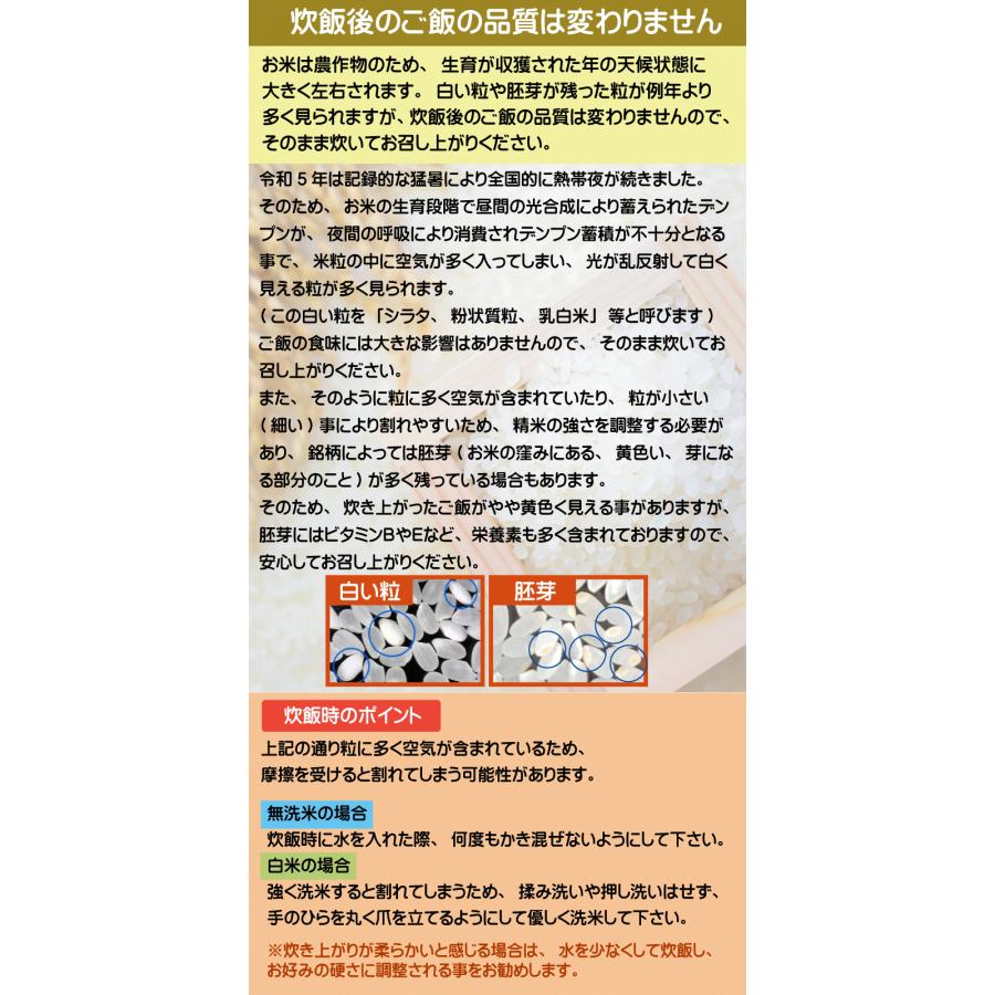 新米 無洗米 5kg 三重県産 コシヒカリ 令和5年産 多気農協 ぎんひめ限定 送料無料