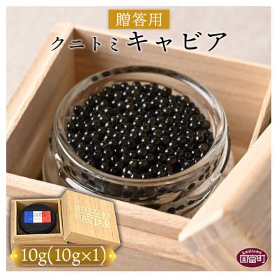 ふるさと納税 国富町 クニトミキャビア10g(10g×1)