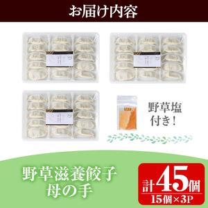 ふるさと納税 isa426 野草滋養餃子「母の手」(計45個・15個×3P) 鹿児島県伊佐市