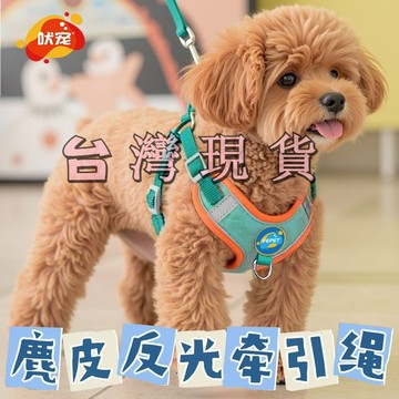 ⚡臺灣本土出貨⚡寵物胸揹帶狗狗反光牽引繩小型犬泰迪博美貓咪泰迪小狗遛狗繩鏈子 寵物胸背帶 寵物背帶 牽引繩 狗背帶
