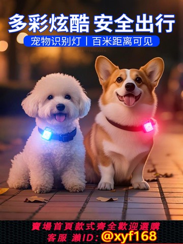 {可打統編 保固一年}狗狗夜間發光項圈可充電遛狗防走丟失炫彩大小型犬吊墜寵物夜行燈
