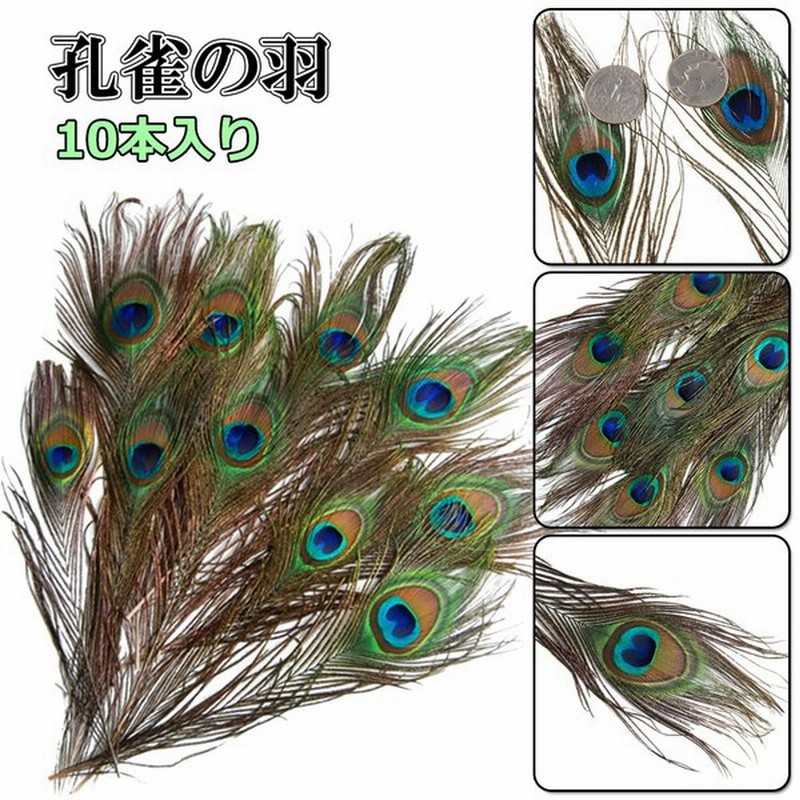 孔雀の羽 羽根 目玉羽 綺麗 装飾用の羽根 23 33cm 10本入り アクセサリー 手芸材料 パーツ 帽子の飾りやインテリアにも 通販 Lineポイント最大0 5 Get Lineショッピング