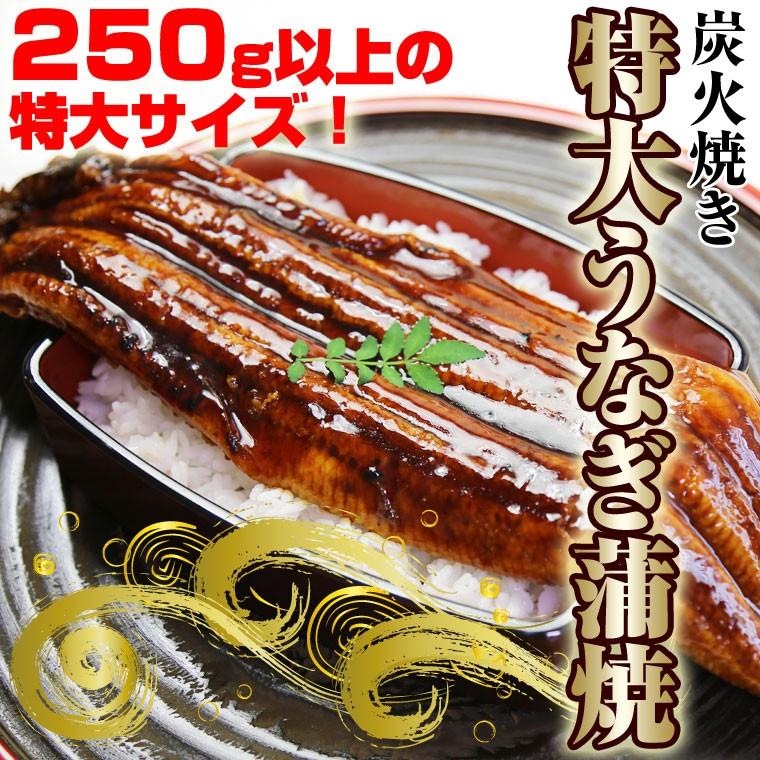 うなぎ蒲焼　1尾　約250ｇ 中国産 特大　ギフト