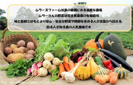 季節の野菜詰め合わせ（5～6種）と平飼い卵セット！農薬不使用だから安心安全！