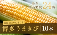 A78 博多うまきび 10本入り 平均糖度20度 とうもろこし