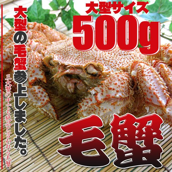 ボイル 毛がに 500g (北海道産特大毛蟹)このケガニ安いですが訳ありではありません(冷凍毛ガニ)蟹味噌三大蟹の1つのけがに