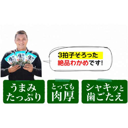 ふるさと納税 徳島県 鳴門市 鳴門市里浦産塩蔵わかめ 120ｇ×10袋