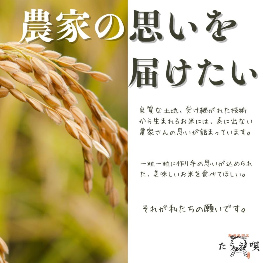 新米 令和５年産 米 送料無料 新潟県産 虹の煌めき 大粒 10kg （5kg×2） 精米 お米 にじのきらめき 新品種 おいしいお米 白米 大粒米