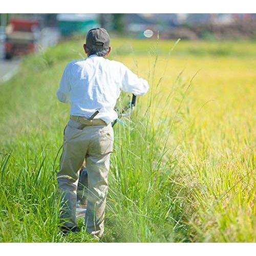 奇跡のりんご 木村秋則さんの自然栽培で作った 岡山県産 木村式自然栽培米 朝日 (5kg×3袋)