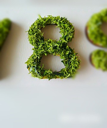 木製數字對象（苔蘚）5 厘米/8 x 1 點