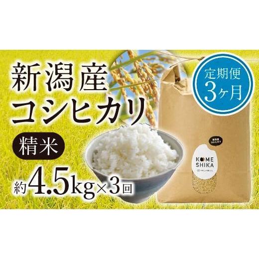 ふるさと納税 新潟県 新潟産コシヒカリ精米約4.5kg×3回　精米したてをお届け