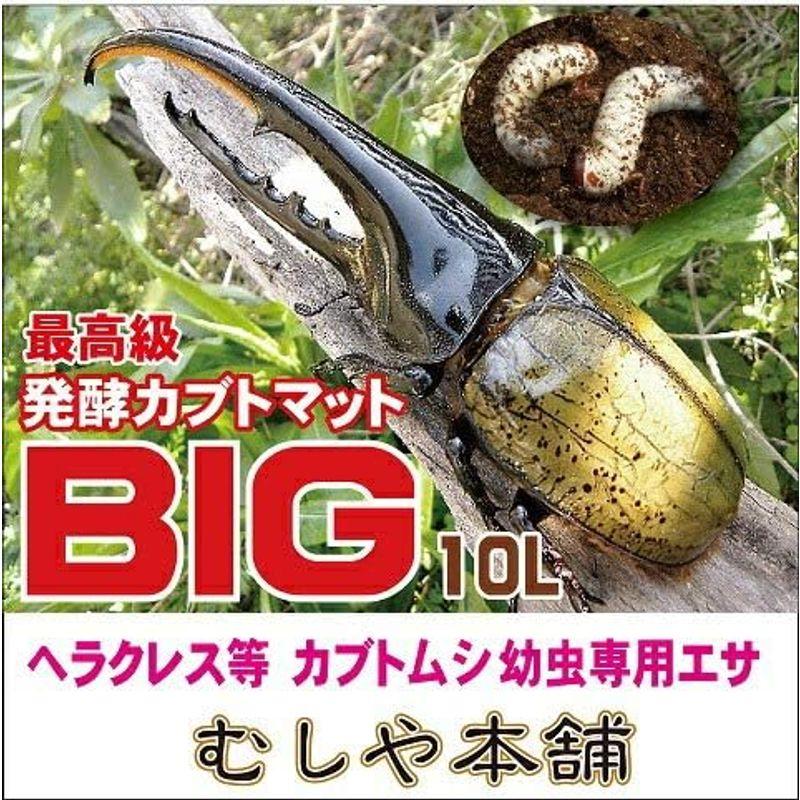 カブトムシ幼虫の大量飼育にどうぞ！天然マット【300L】オオヒラタケ菌 