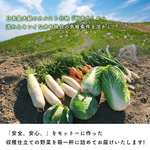 美祢市産 冬野菜の詰め合わせセット