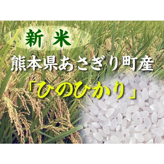 米 ひのひかり 玄米 10kg 令和5産 熊本県 あさぎり町産  安い セール