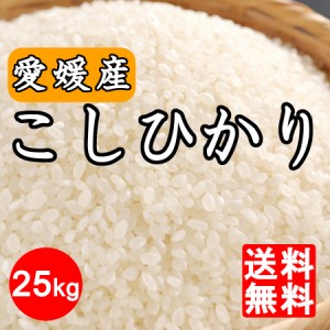 米 令和5年産 新米 愛媛県産こしひかり25kg※北海道,東北,沖縄除く