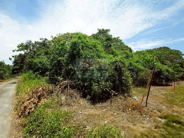 楠西5.9分方正美農地｜台南市楠西區永興段