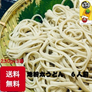 乾麺 地粉太うどん 3袋入り 送料無料 保存食に 賞味期限１年 お試し 6人前 国産小麦 自家製麺 農林61号 希少 麦の香り のどごし ツルツル