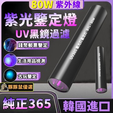 豚豚鼠優選🍯紫光鑒定燈 紫光手電筒 手電筒 驗鈔筆燈 固化手電 珠寶檢測 鑑定手電筒 紫外線手電筒 紫外線燈 鑒定燈