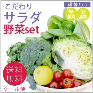 旬の野菜 野菜セット 無農薬 低農薬 こだわり サラダ野菜セット6品目　送料込 旬 ギフト 贈り物 プレゼント お取り寄せ お中元 お歳暮