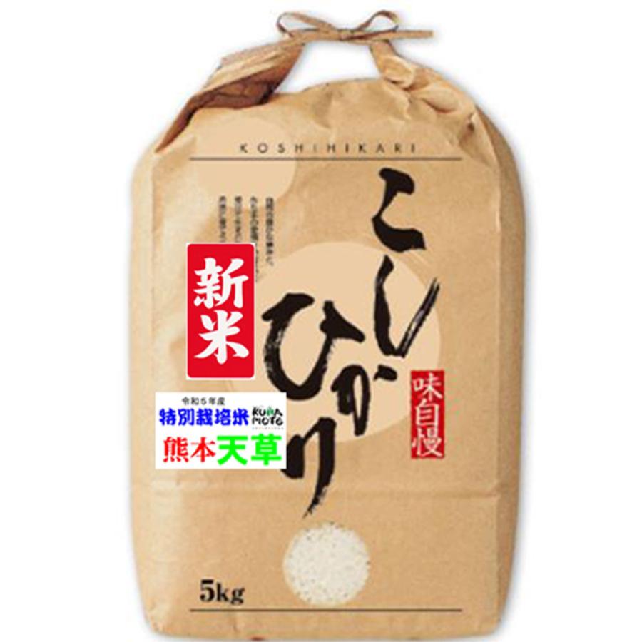 新米 令和5年産 特別栽培米 天草 コシヒカリ 5kg 熊本県 JAあまくさ産 玄米 白米 7分づき 5分づき 3分づき 