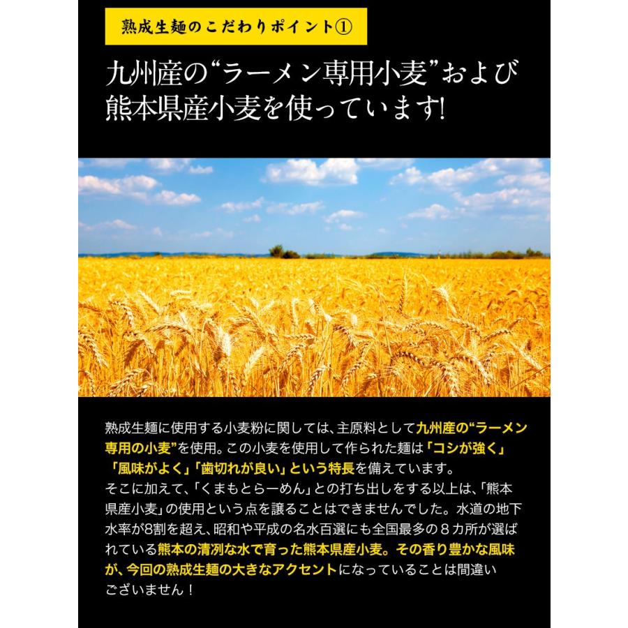 半額 SALE くまもと らーめん 6食 送料無料 ラーメン 取り寄せ 豚骨 とんこつ お試し 熊本 3-7営業日以内に出荷予定(土日祝日除く)