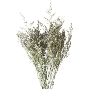 情人草 120g   藍色