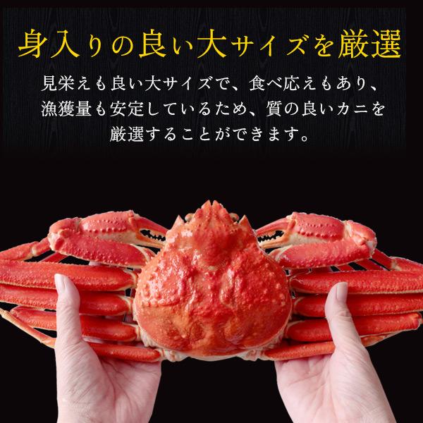 お歳暮 ギフト ボイルズワイガニ姿1.2kg（600g前後×2枚セット） かに カニ 蟹 送料無料（北海道・沖縄を除く）