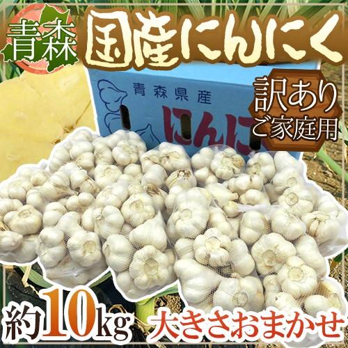 青森県 訳あり ”国産にんにく” 約10kg 送料無料