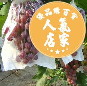 防蟲保護袋 果袋套 半透明葡萄套袋專用袋蓮霧保護防蟲雨防鳥包裝果袋紙袋子果樹水果