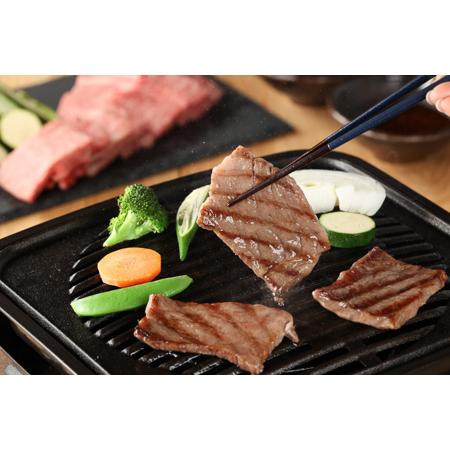 ふるさと納税 飛騨牛リブロース 500g（焼肉用）牛肉 国産 ブランド牛 】 岐阜県下呂市