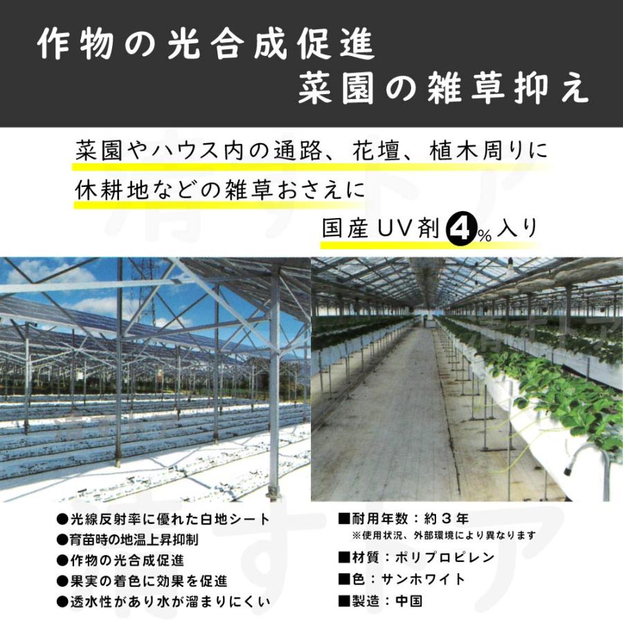 防草シート サンホワイト 0.5m×50m 耐用年数約3年 除草 雑草対策 草よけシート シンセイ