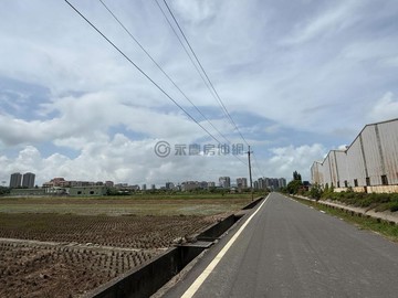 楊小扁~高雄大學特區旁/方正漂亮農地/橋頭頂鹽田段｜高雄市橋頭區頂塩田段